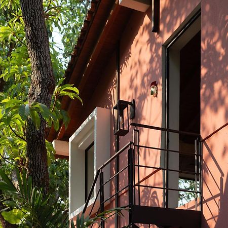 La Paranera Hotel & Relax Comala 外观 照片